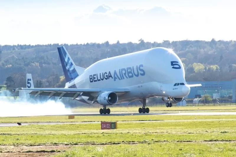 Airbus Beluga, um dos maiores cargueiros do mundo, no Aeroporto de Viracopos