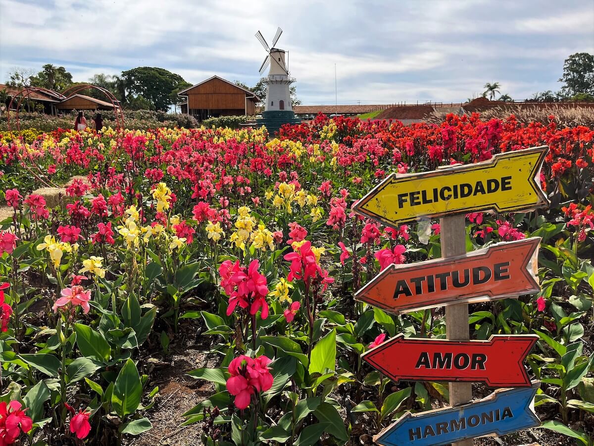 Jardim florido de Holambra, com moinho ao fundo e placas de “Felicidade”, “Amor” e “Harmonia” — City Tour CHM Executive Transport