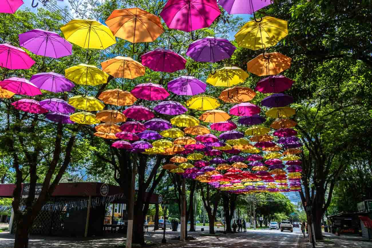 Corredor de guarda-chuvas coloridos, em Holambra — City Tour CHM Executive Transport