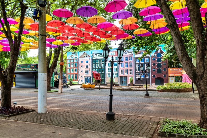 Guarda-chuvas suspensos formando um corredor colorido, em Holambra — City Tour CHM Executive Transport