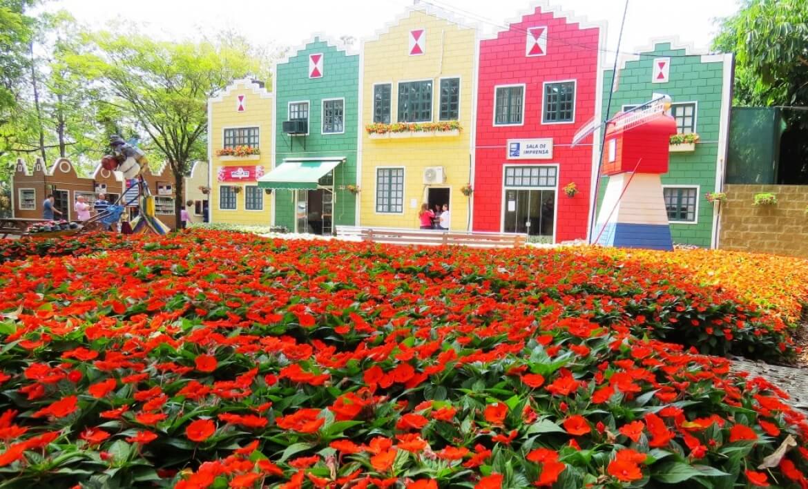 Flores e plantas ornamentais de Holambra, a capital nacional das flores — City Tour CHM Executive Transport