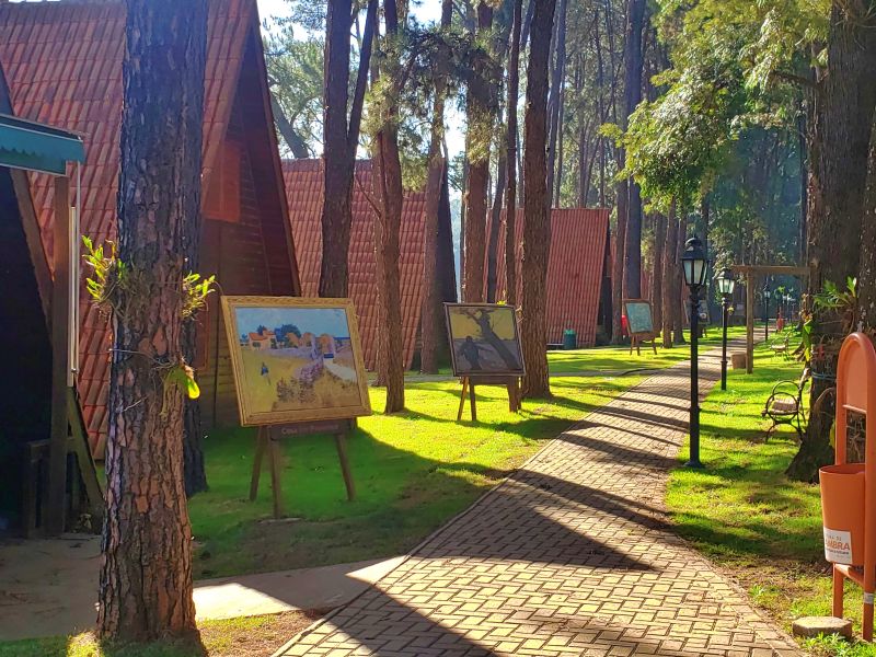 Campos de girassóis do Parque Van Gogh, em Holambra — City Tour CHM Executive Transport
