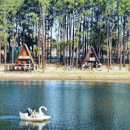 Parque Van Gogh, com campos floridos, em Holambra — City Tour CHM Executive Transport